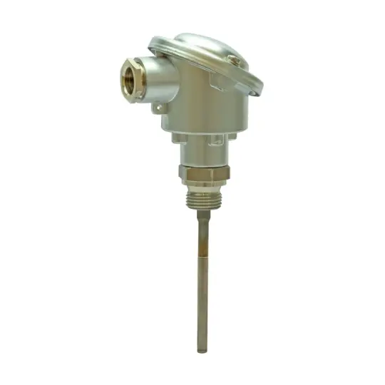 Siemens FT-TP/100 - Daldırma sıcaklık sensörü 100 mm